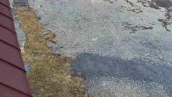 Nástup na běžecké tratě