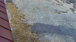 Nástup na běžecké tratě