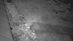 Nástup na běžecké tratě