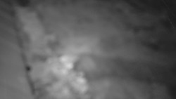 Nástup na běžecké tratě