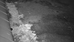 Nástup na běžecké tratě