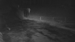 Nástup na běžecké tratě