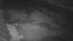 Nástup na běžecké tratě