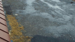 Nástup na běžecké tratě