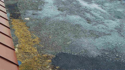 Nástup na běžecké tratě