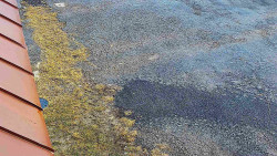 Nástup na běžecké tratě