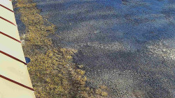 Nástup na běžecké tratě