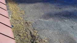 Nástup na běžecké tratě