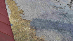 Nástup na běžecké tratě