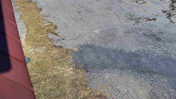 Nástup na běžecké tratě