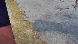 Nástup na běžecké tratě