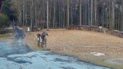 Nástup na běžecké tratě