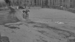 Nástup na běžecké tratě