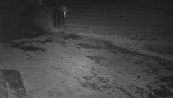 Nástup na běžecké tratě