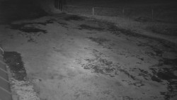 Nástup na běžecké tratě