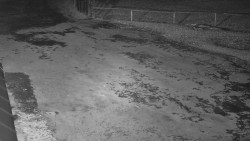 Nástup na běžecké tratě