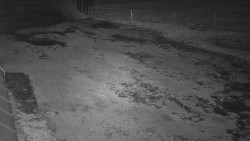 Nástup na běžecké tratě