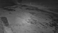 Nástup na běžecké tratě