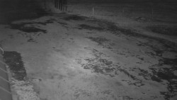 Nástup na běžecké tratě