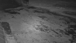 Nástup na běžecké tratě