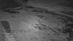 Nástup na běžecké tratě