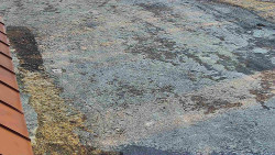 Nástup na běžecké tratě