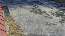 Nástup na běžecké tratě