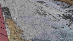 Nástup na běžecké tratě