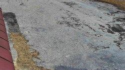 Nástup na běžecké tratě