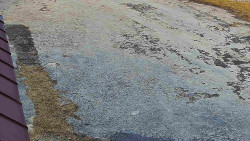 Nástup na běžecké tratě