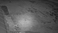 Nástup na běžecké tratě