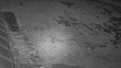 Nástup na běžecké tratě