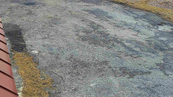 Nástup na běžecké tratě