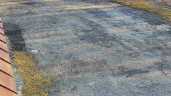 Nástup na běžecké tratě