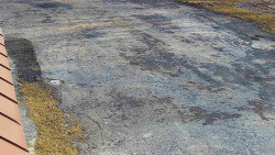 Nástup na běžecké tratě