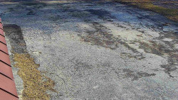 Nástup na běžecké tratě