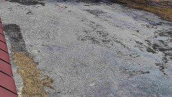 Nástup na běžecké tratě