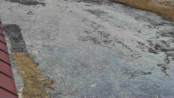 Nástup na běžecké tratě