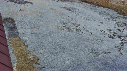 Nástup na běžecké tratě