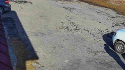 Nástup na běžecké tratě