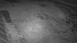 Nástup na běžecké tratě