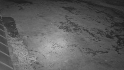 Nástup na běžecké tratě