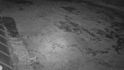 Nástup na běžecké tratě