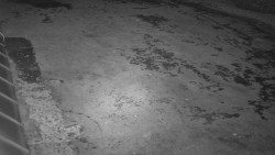 Nástup na běžecké tratě