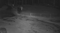 Nástup na běžecké tratě