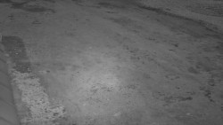 Nástup na běžecké tratě