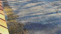 Nástup na běžecké tratě