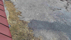 Nástup na běžecké tratě