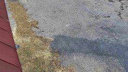 Nástup na běžecké tratě