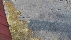 Nástup na běžecké tratě